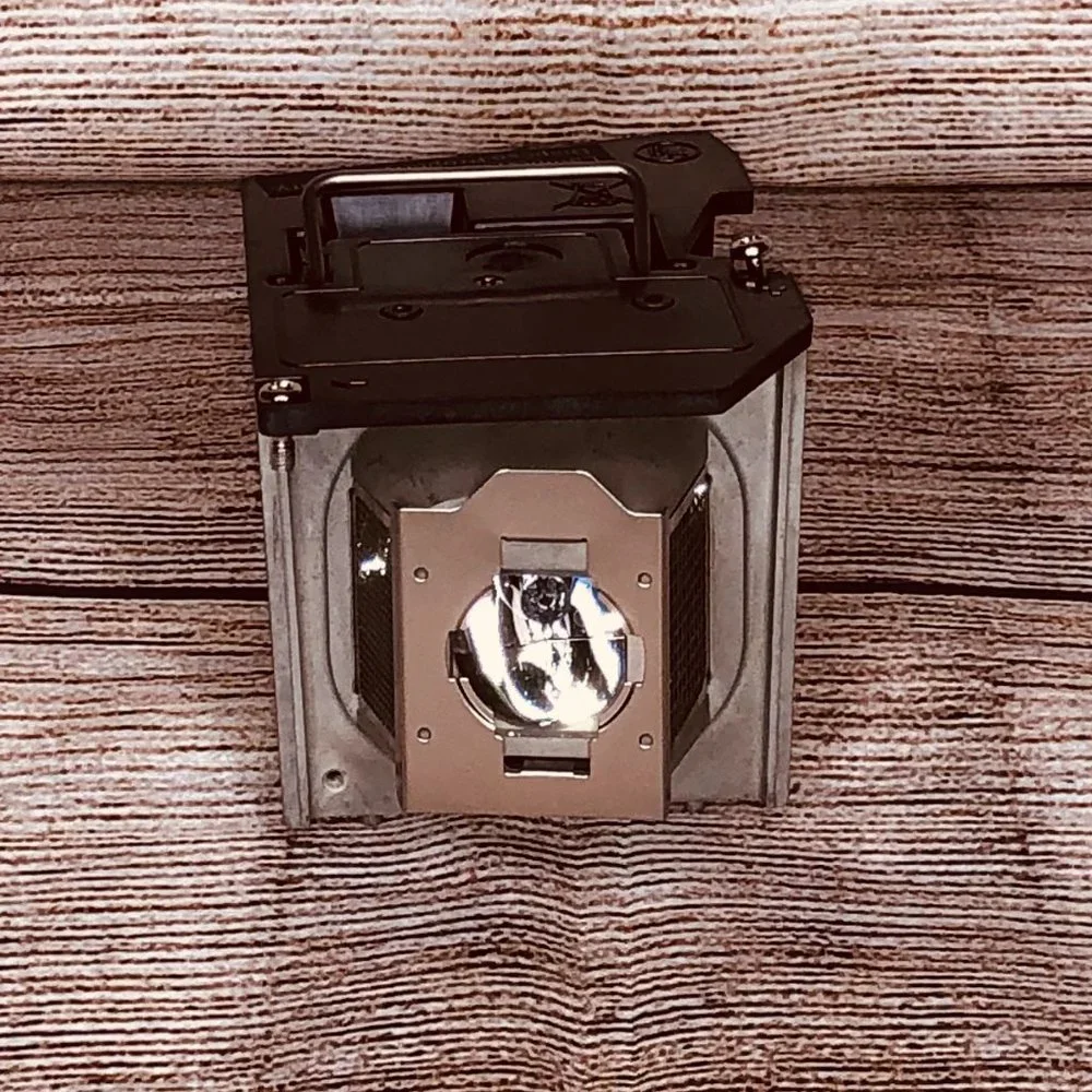 Dell Replacement Projector Lamp
